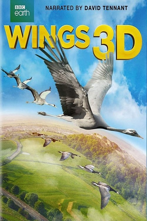 Постер Wings 3D
